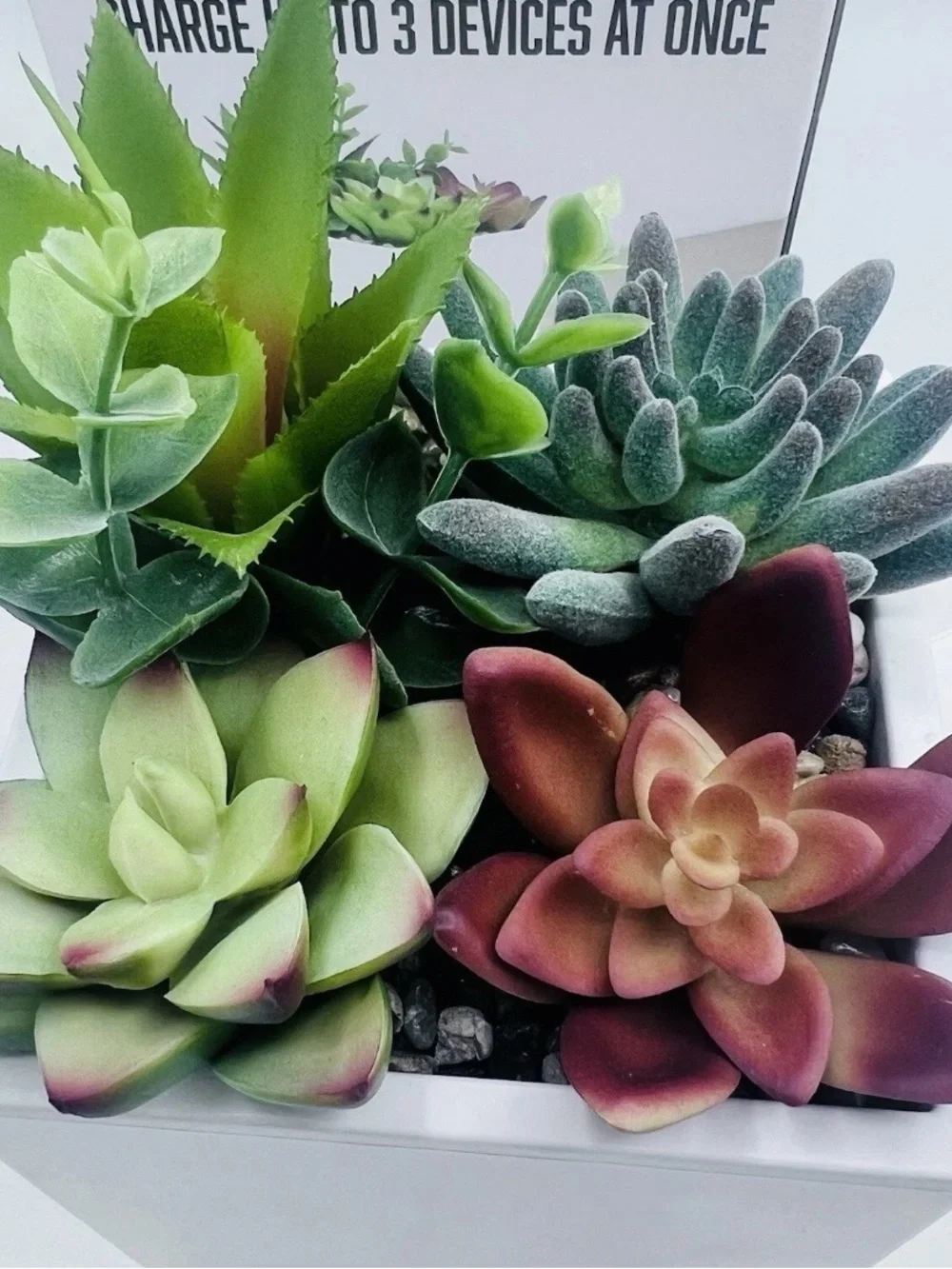 Tech² Power Bloom 45W Succulent Plant Fast Charging POWER BLOOM Station USB C&A